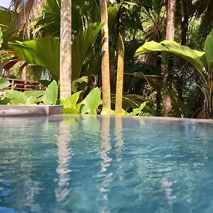 A Peace In Paradise Anse Royale