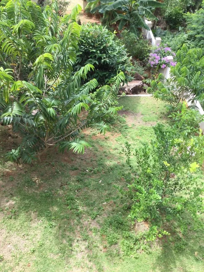 Bougainvillas Seychelles Anse Royale