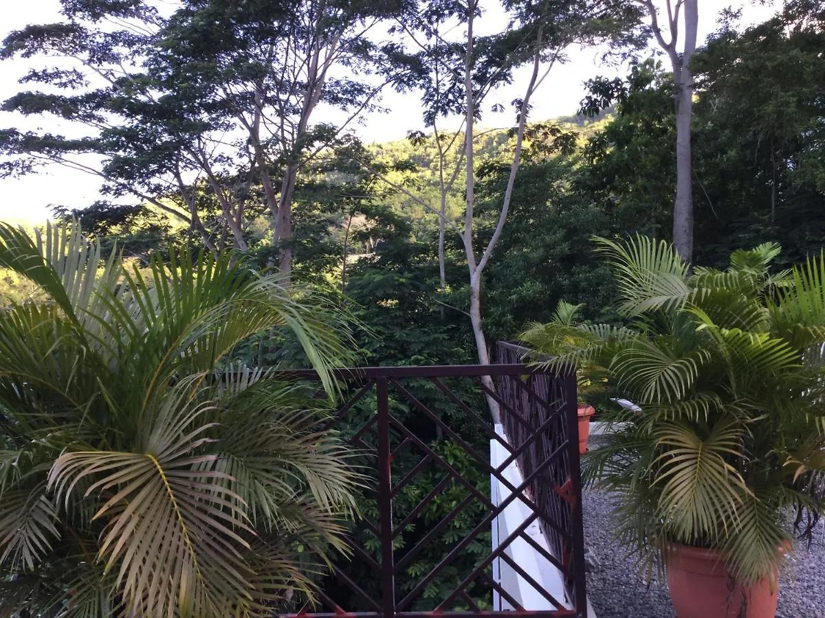 Bougainvillas Seychelles Anse Royale Apartment