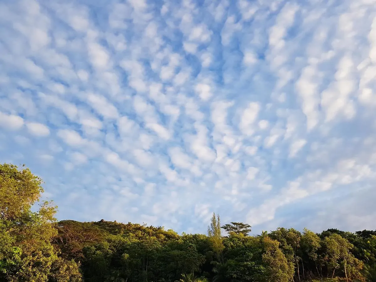 Bougainvillas Seychelles Anse Royale Seychellen