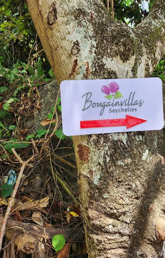 Bougainvillas Seychelles Anse Royale Seychellen
